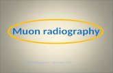 Muon radiography
