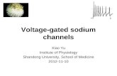 Voltage-gated sodium channels