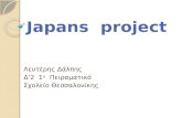 Japans  project