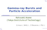 Gamma-ray Bursts and Particle Acceleration