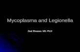 Mycoplasma and Legionella