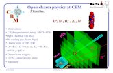 Motivation;  CBM experimental setup, MVD+STS; Open charm at SIS 100;  He cooling (no Beam Pipe)