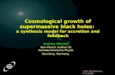 Cosmological growth of supermassive black holes:  a synthesis model for accretion and feedback
