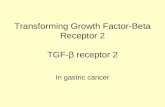 Transforming Growth Factor-Beta Receptor 2 TGF- ²  receptor 2
