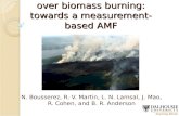 Improving OMI NO 2  retrievals over biomass burning: towards a measurement-based AMF