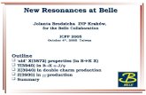 New Resonances at Belle Jolanta Brodzicka  INP Krak³w,  for the Belle Collaboration ICFP 2005