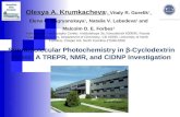 Supramolecular Photochemistry in β-Cyclodextrin Hosts: A TREPR, NMR, and CIDNP Investigation