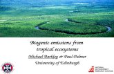 Biogenic emissions from  tropical ecosystems