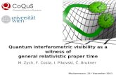 Quantum interferometric visibility as a witness of general relativistic proper time