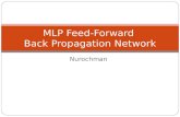 MLP Feed-Forward  Back Propagation Net work