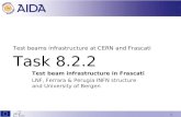 Test beams infrastructure at CERN and Frascati Task 8.2.2 Test beam infrastructure in Frascati