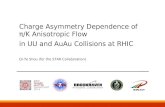 Charge Asymmetry Dependence of π/K Anisotropic Flow in UU and AuAu Collisions at RHIC