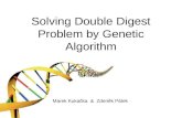 Solving Double Digest Problem by Genetic Algorithm