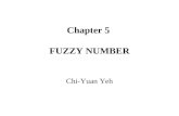 Chapter 5  FUZZY NUMBER