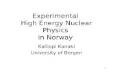 Experimental  High Energy Nuclear Physics  in Norway