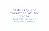 Stability and formation of the fractal