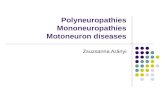 Polyneuropathies Mononeuropathies Motoneuron diseases