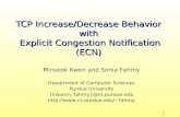 TCP Increase/Decrease Behavior  with  Exp licit Congestion Notification (ECN)