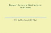 Baryon Acoustic Oscillations: overview