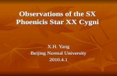 Observations of the SX  Phoenicis  Star XX  Cygni