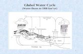 Global Water Cycle (Water fluxes in 1000 km 3 /yr)