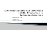Extended-spectrum  β -lactamase (ESBL) Production in  Enterobacteriaceae