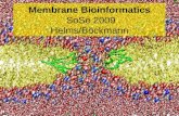 Membrane Bioinformatics SoSe 2009 Helms/Böckmann