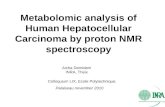 Metabolomic analysis of Human Hepatocellular  Carcinoma by proton NMR spectroscopy