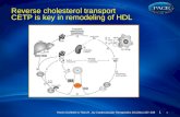 Reverse cholesterol  transport CETP is key in remodeling of HDL