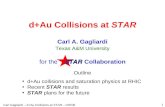 d+Au Collisions at  STAR