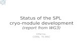 Status of the SPL  cryo-module development (report from WG3)