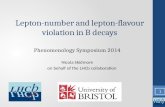 L epton-number and lepton- flavour  violation in B decays