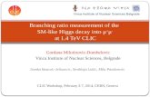 Branching ratio measurement of the  SM-like Higgs decay into  μ + μ - at 1.4  TeV  CLIC