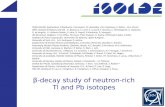 ²-decay study of neutron-rich  Tl  and  Pb iso topes