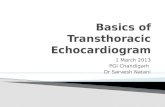 Basics of Transthoracic Echocardiogram