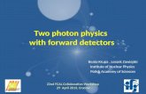 Two photon physics  with forward detectors