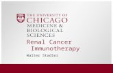 Renal Cancer Immunotherapy