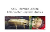 CMS  Hadronic Endcap Calorimeter Upgrade Studies