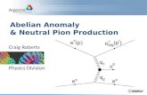 Abelian  Anomaly  & Neutral  Pion  Production
