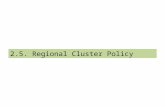 2.5. Regional Cluster Policy