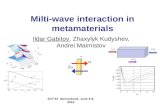 Milti -wave interaction in metamaterials