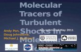 Molecular Tracers of Turbulent Shocks in Molecular Clouds