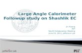 Large Angle Calorimeter Followup  study on  Shashlik  EC