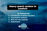 Heavy quark system in medium