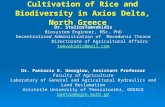 Cultivation of Rice and Biodiversity in  Axios  Delta, North Greece