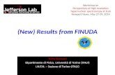 (New) Results from FINUDA