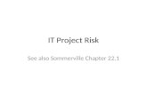IT Project Risk