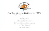 Ba  Tagging activities in EXO