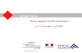 Μεταπτυχιακές σπουδές ,  Διδακτορικό και Υποτροφίες στη Γαλλία