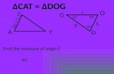 Δ CAT =  Δ DOG